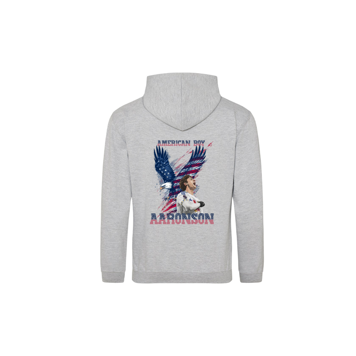 AMERICAN BOY Aaronson Everyday Jumper/Hoodie