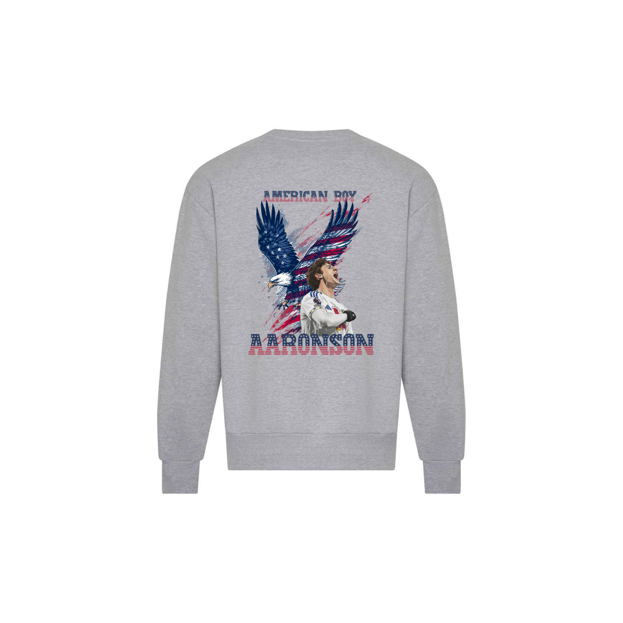 AMERICAN BOY Premium Jumper/Hoodie