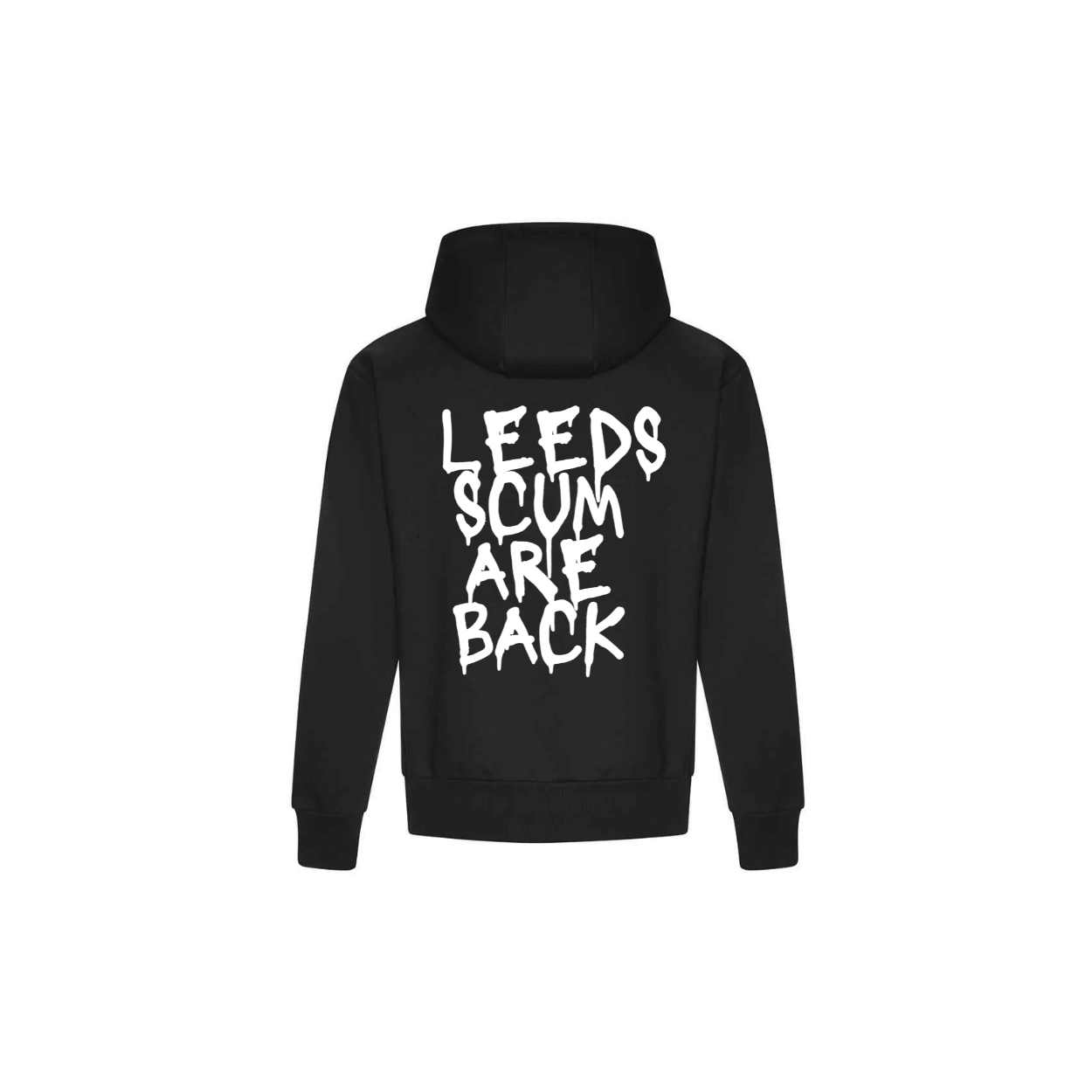 HAVE YOU MISSED US? Jumper/Hoodie
